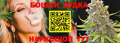 шишки Партизанск